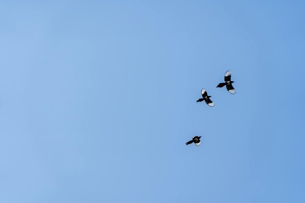 Comprendre et prendre soin des peaux sensibles au quotidien