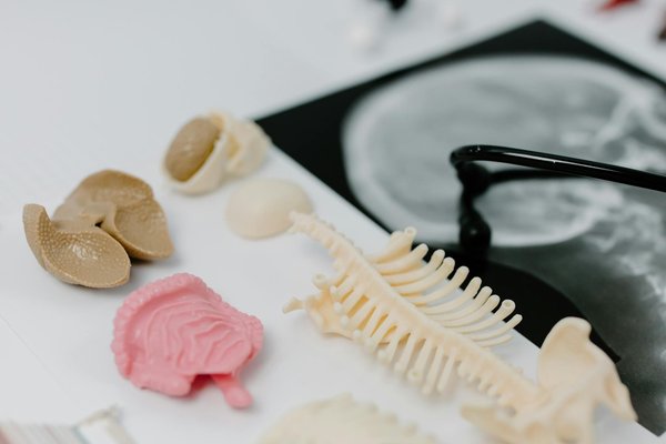 Les mythes et réalités des maladies infectieuses